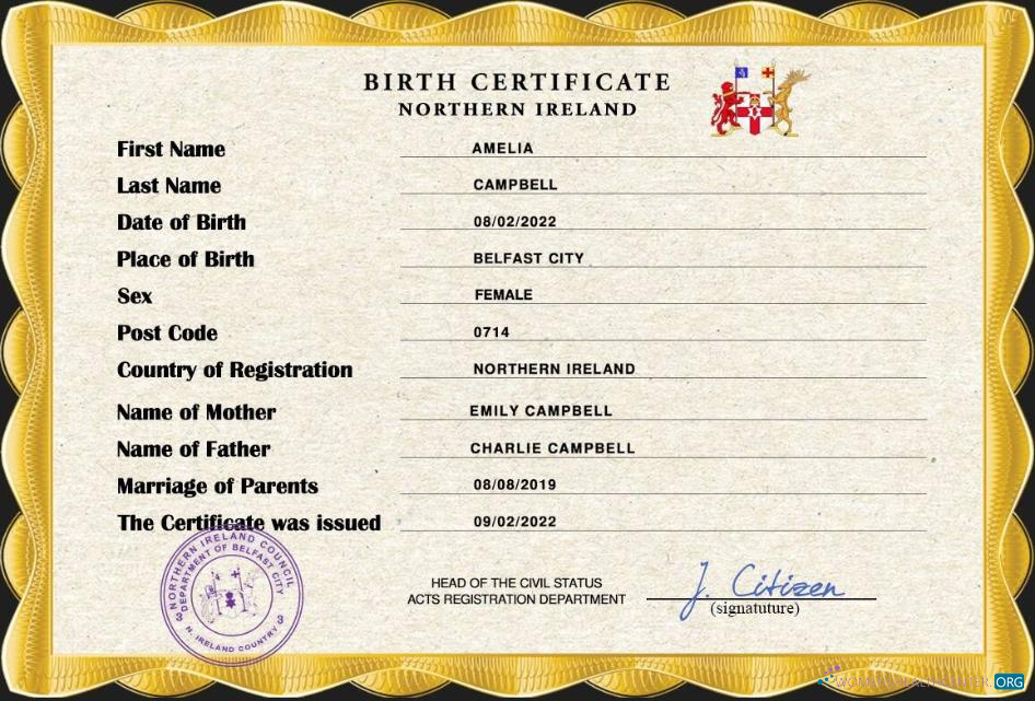 Download Northern Ireland vital record birth certificate PSD template Photoshop template